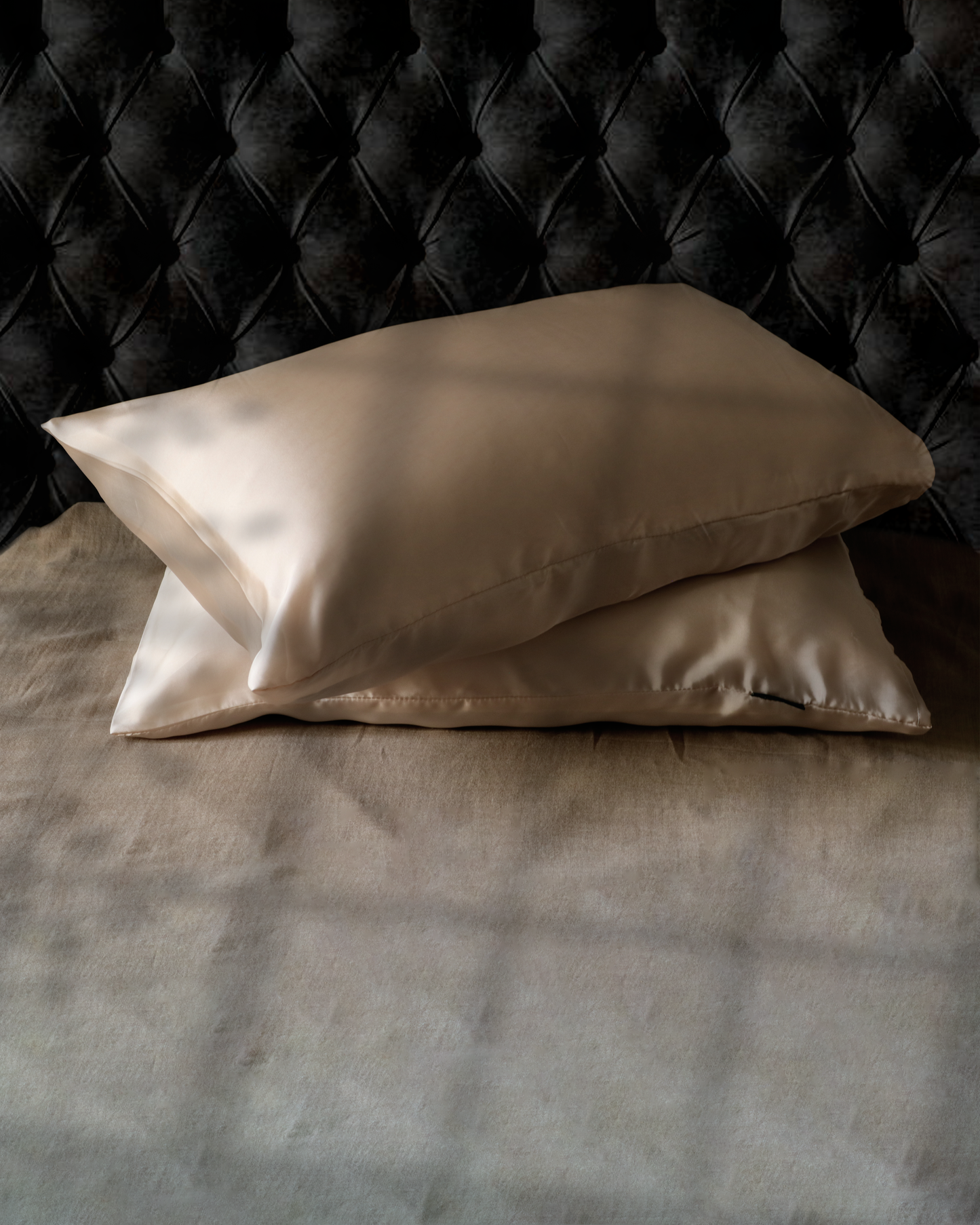 Pure Mulberry Silk Pillow Cover