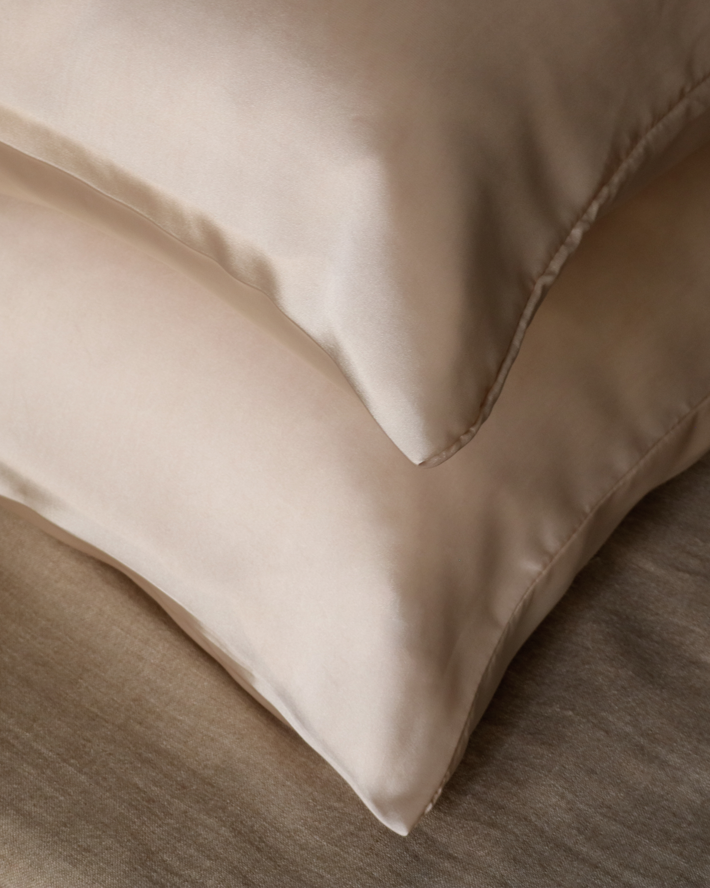 Pure Mulberry Silk Pillow Cover