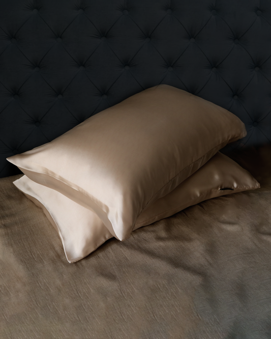 Pure Mulberry Silk Pillow Cover